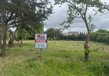 Terreno en Venta